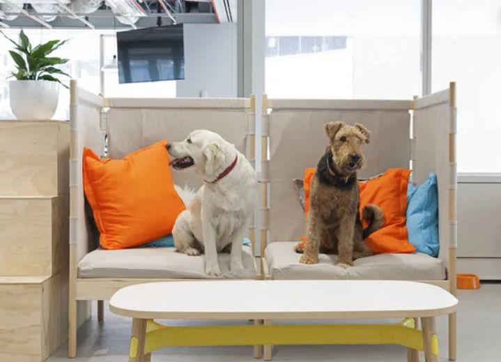 作为家居消费主力军,90后都在想什么你知道吗?