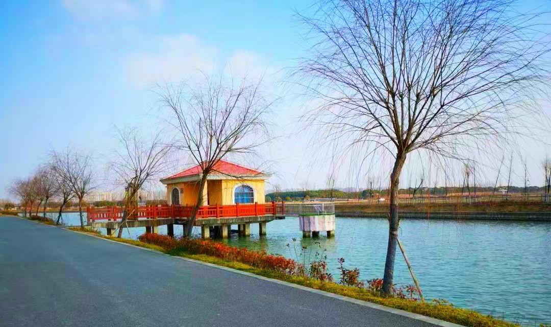 露营|距上海市中心45公里的黄浦江，藏着一个公园，景色比外滩美多了