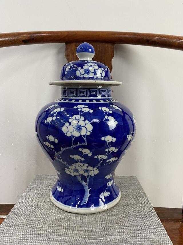 光绪|傲雪凌霜——清代各式冰梅瓷器赏析