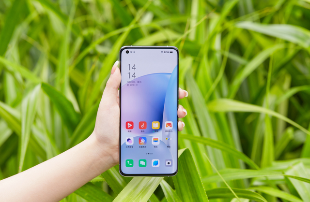 OPPO|APP违规行为横行,该如何保障?这家手机厂商给出了这套方案