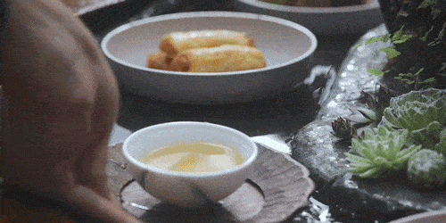 李子柒,回来了