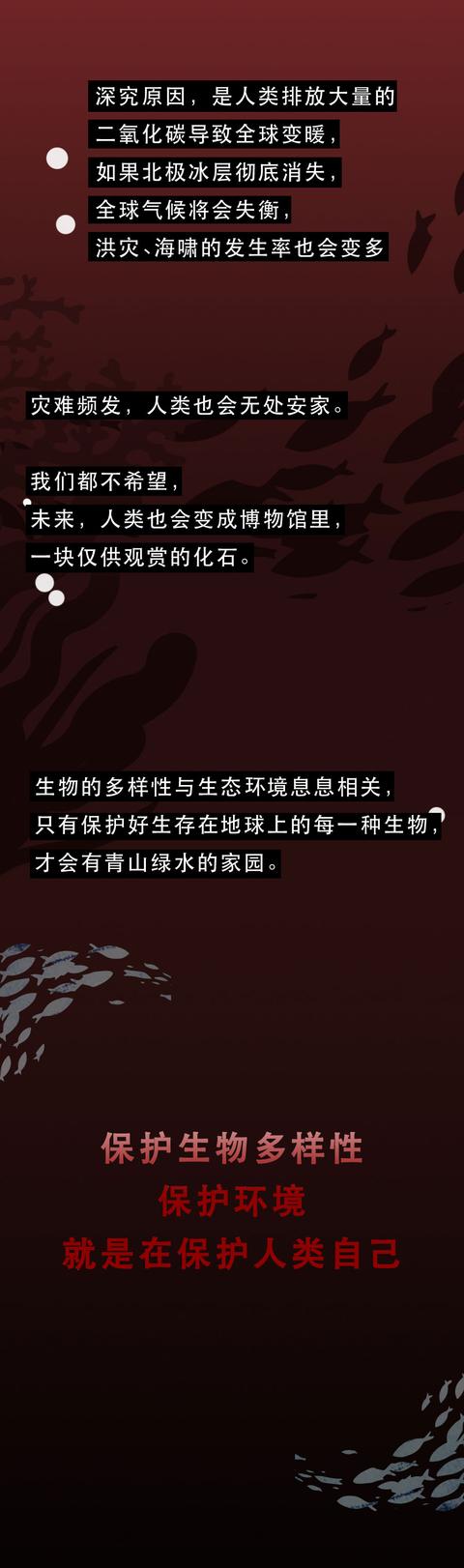 路飞|怀孕的妻子，被他们一点点榨干了鲜血