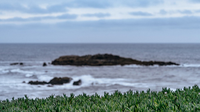 乡村旅游|加州的时间旅行者