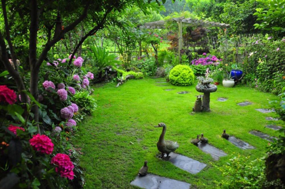 |守一间小院,闲坐摇扇听荷声,盛夏微凉于此间