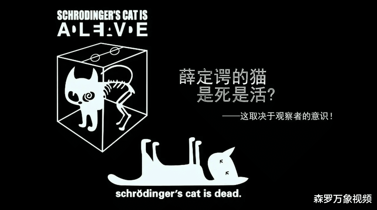 薛定谔的猫只是物理学“四大神兽”之一,其他三大神兽你知道吗?