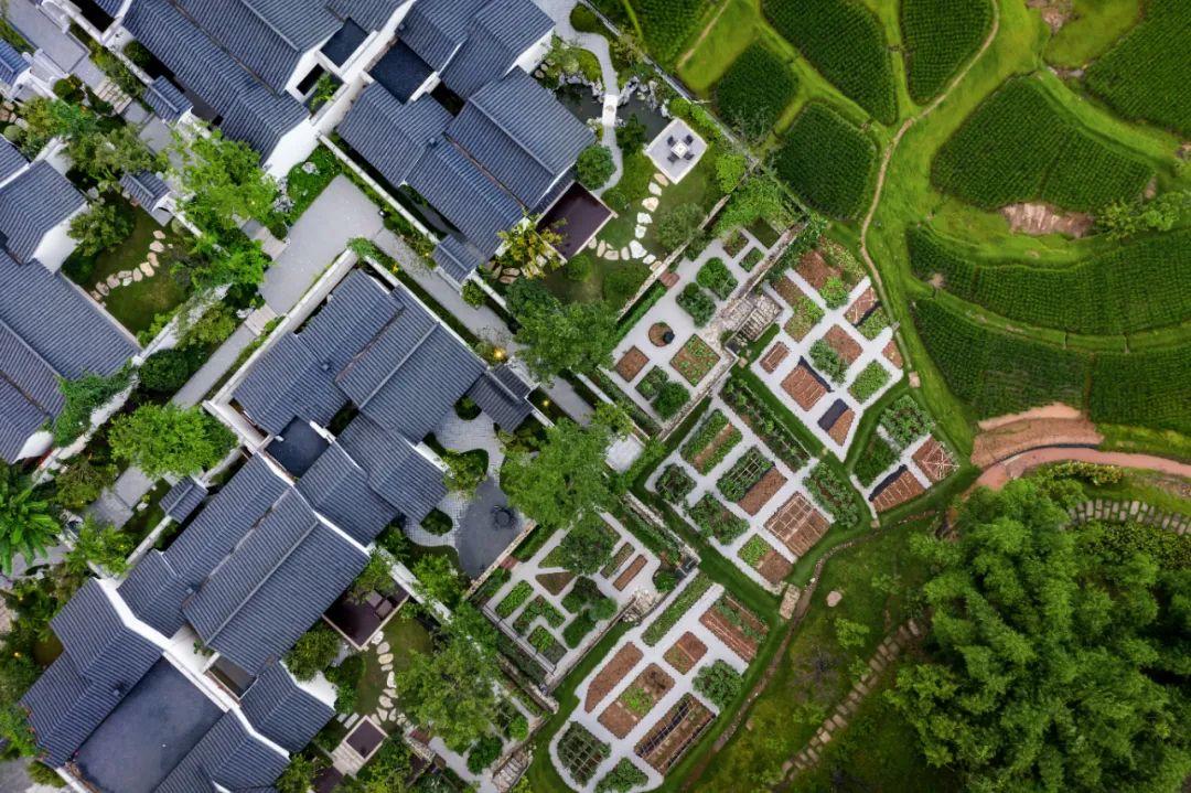 大理|你和“诗与远方”之间,只隔着一个田园牧歌的院子