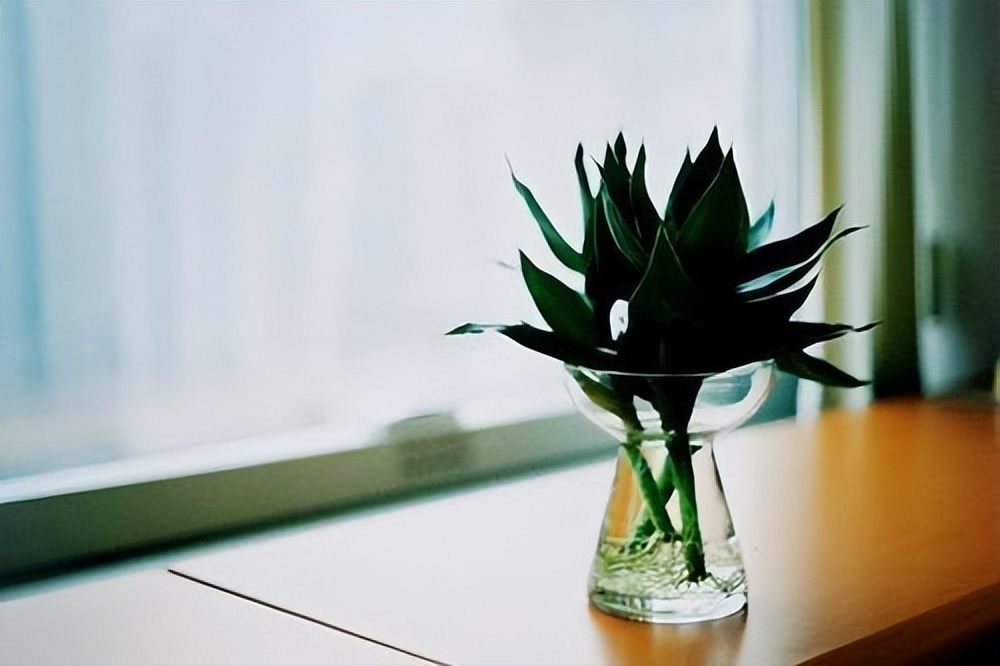 |人在单位,聪明人永远不会主动跟人聊这三个话题,会害了自己