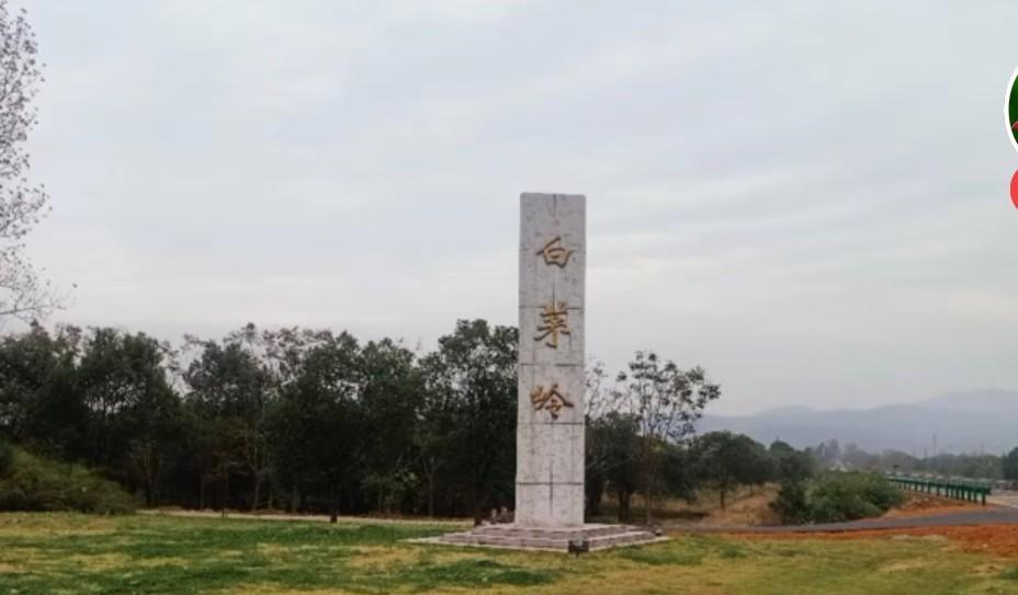 安徽有一块相当于高校的上海飞地,毕业后出来的都是社会精英