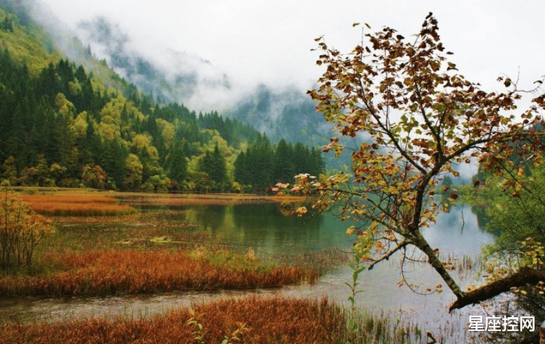 |低调细致做自己,自信心十足的星座,不容易走弯路,求职求爱都顺