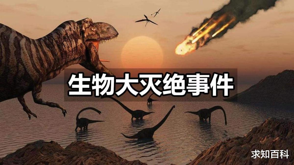灭绝的生物重新出现,究竟是好是坏? 地球即将第六次生物大灭绝?
