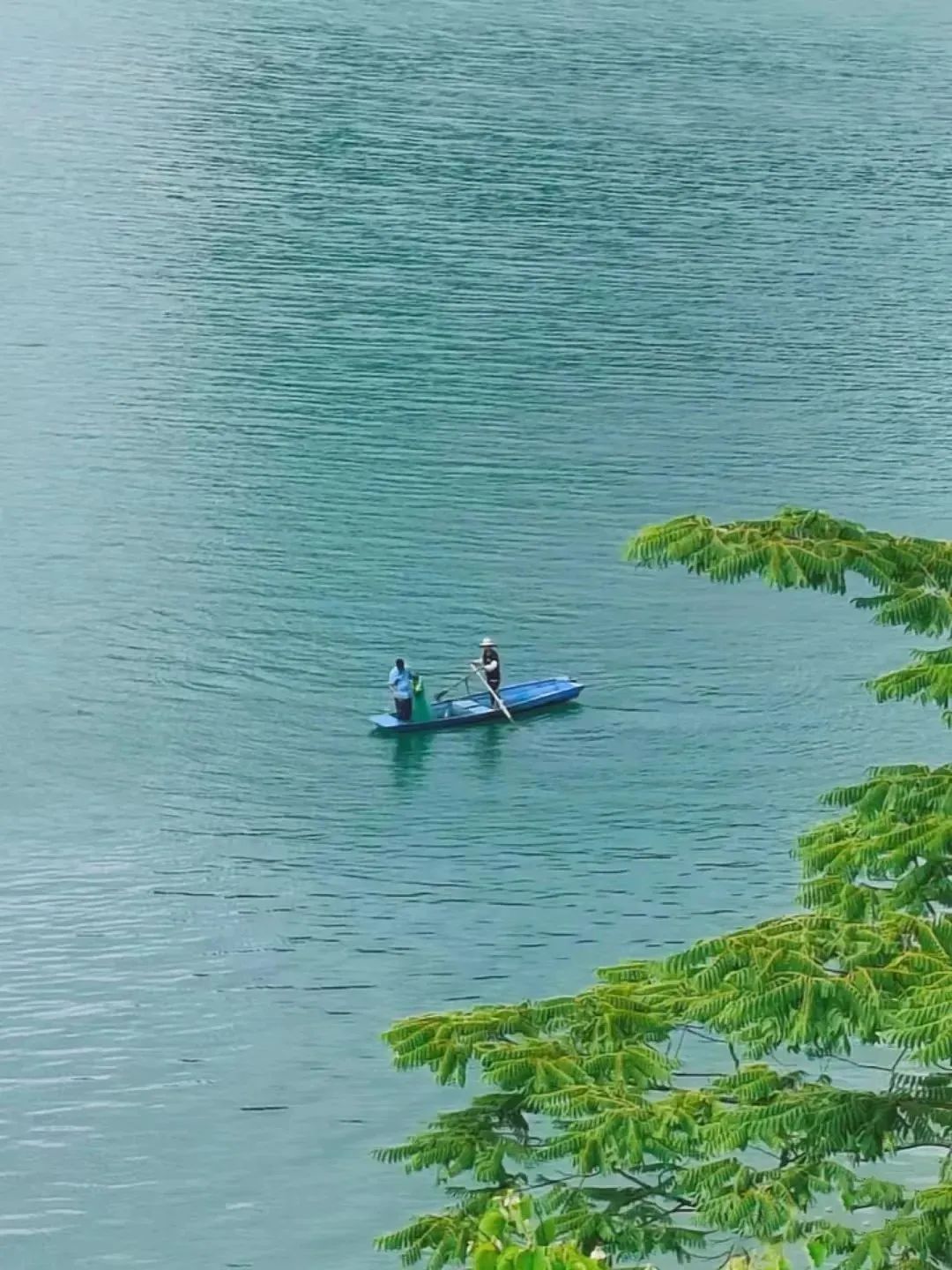 桂林|广西最被低估的小城，山水堪比桂林，宁静宛如桃源，夏日仅25℃，冷门到无人知！