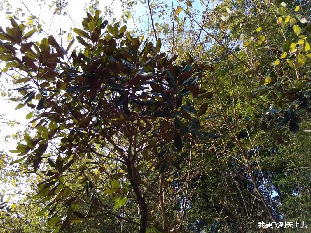 |男子在河边钓鱼，忽然河里冒出一个女人的头