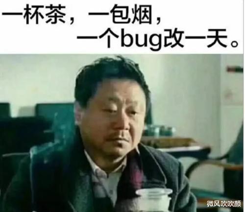 拼多多|程序员年龄增大后的职业出路是什么？德国和我国的差距是什么？
