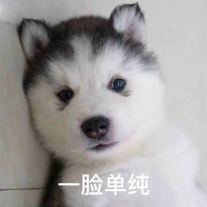 招聘|留学生，现在不香了？