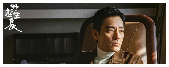 电视剧|36集电视剧《风吹半夏》即将播出，8位实力派倾情出演，值得期待