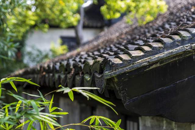 园林|郭进拴|木渎镇风情