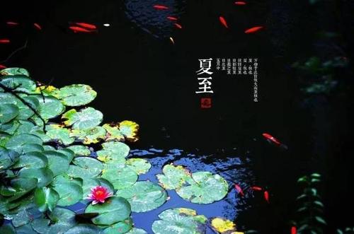 北回归线|二十四节气之夏至