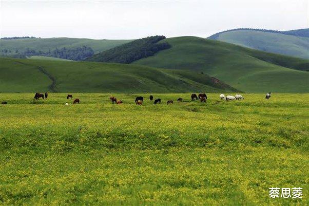 黄鹤楼|如果地球上的沙漠可以变成草原，会发生什么？