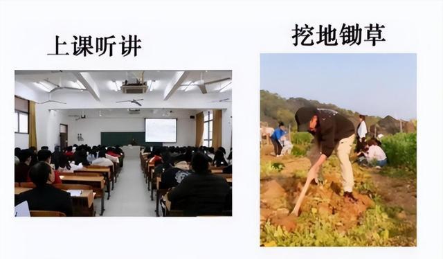 求职|农大的“挂科理由”多奇葩?种的西瓜被偷吃,老师也爱莫能助