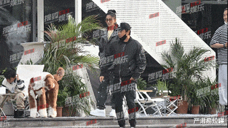 陈思诚|孕期出轨、新欢不断,这都能复婚?