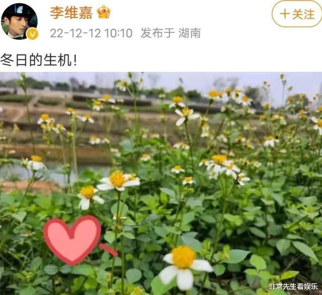 李维嘉|李维嘉罕见更博,有望近期复出,《快本》停播一年多,5人差距大