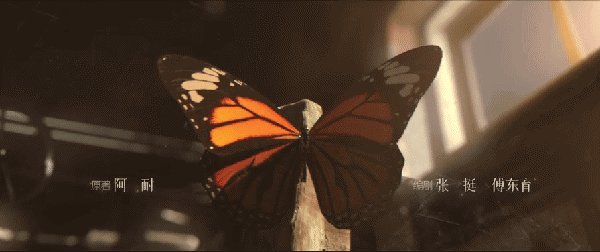 野蛮生长|用“放大镜”看《风吹半夏》被抠到的细节震撼了,比剧情还要绝