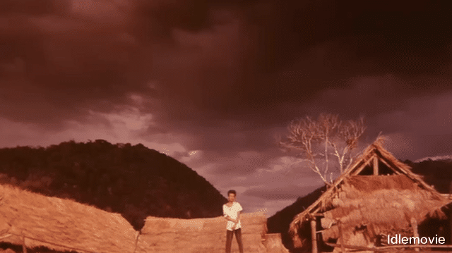 电影|一部《雁南飞》，影响国产电影数十年，但陈凯歌却没因此成为大师