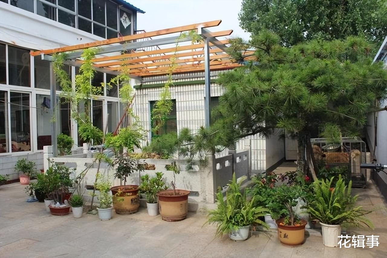 一个真正的院子,要具备这5种功能,才会实用,家人们都会喜欢