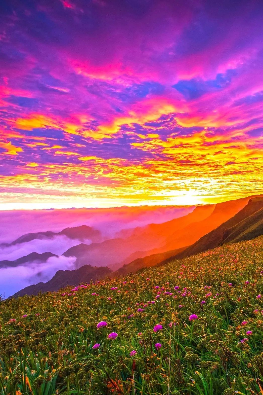 生肖|天秤座的你们,你们的思维都比较的感性,对待每