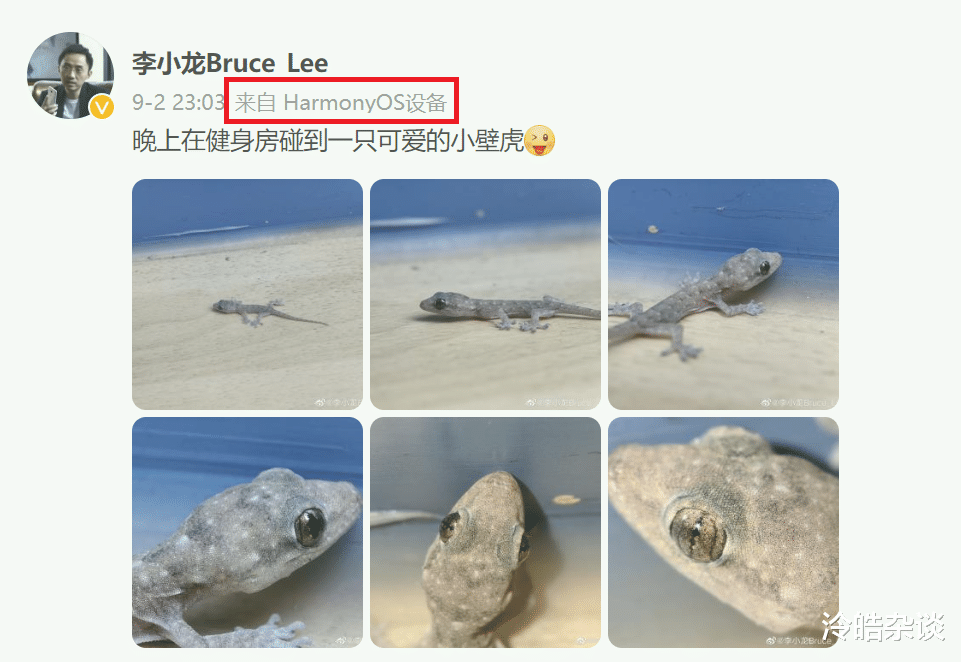 编程|不止可变光圈，华为副总再曝Mate 50拍照黑科技