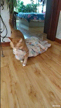 |买东西有记账的习惯，但是在算剩余钱的时候，发现了有一块钱怎么也对不上，这是为什么呢？