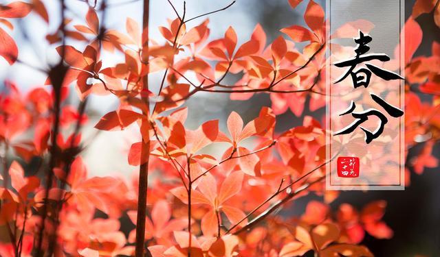 明日春分,有钱没钱,记得吃3样忌3样,阳气足身体好,平安过春天