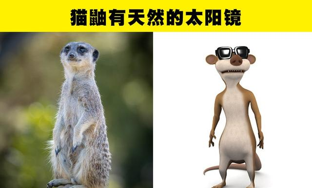 你不知道的冷知识!这7种动物身上的“特异功能”令人意想不到