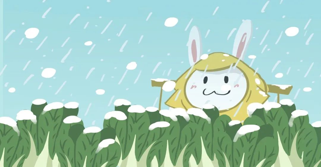 小雪节气,冬天的脚步近了吗?