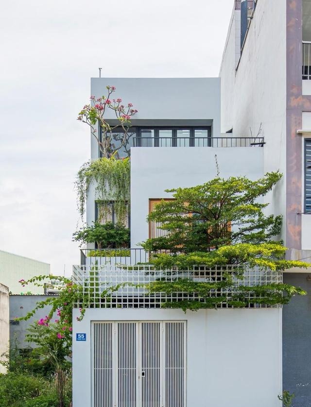 越南3层别墅,屋里屋外到处都种树,装修简单,但起码赏心悦目!