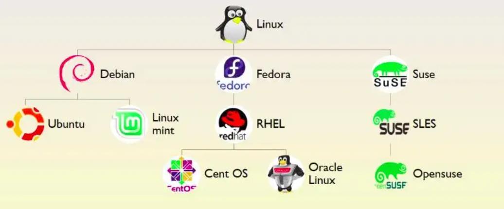 unix|除windows外，安卓、鸿蒙、linux、iOS、MacOS等来自于同一系统