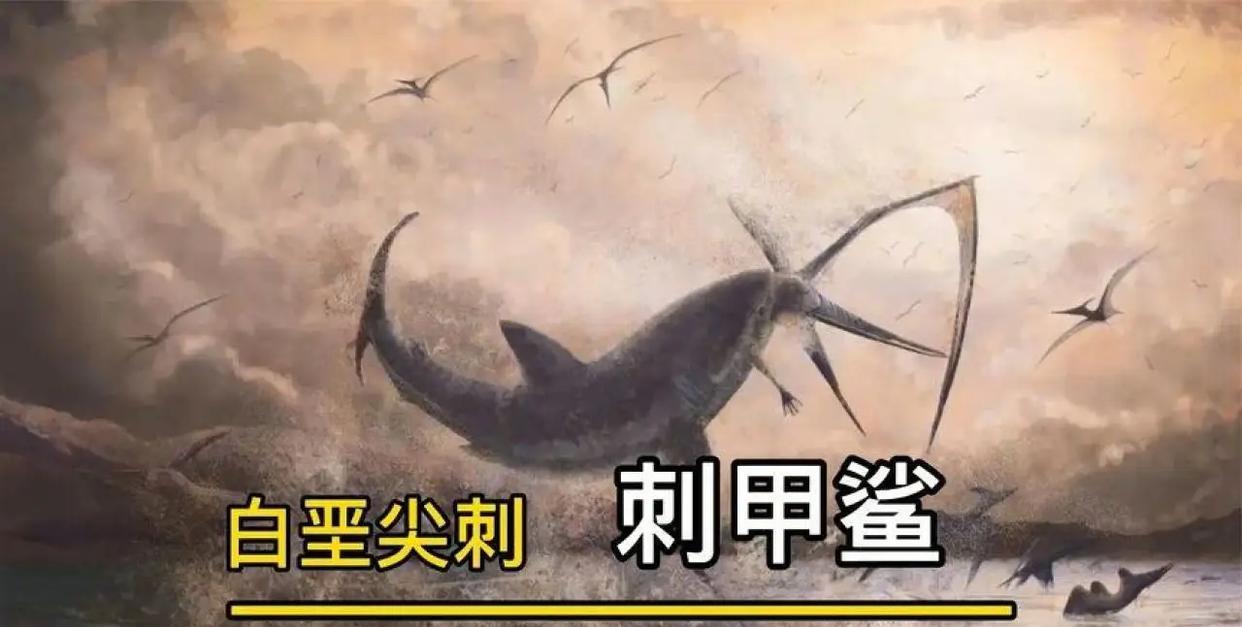 史前海洋中的那些猛兽,个个都是海洋霸主!