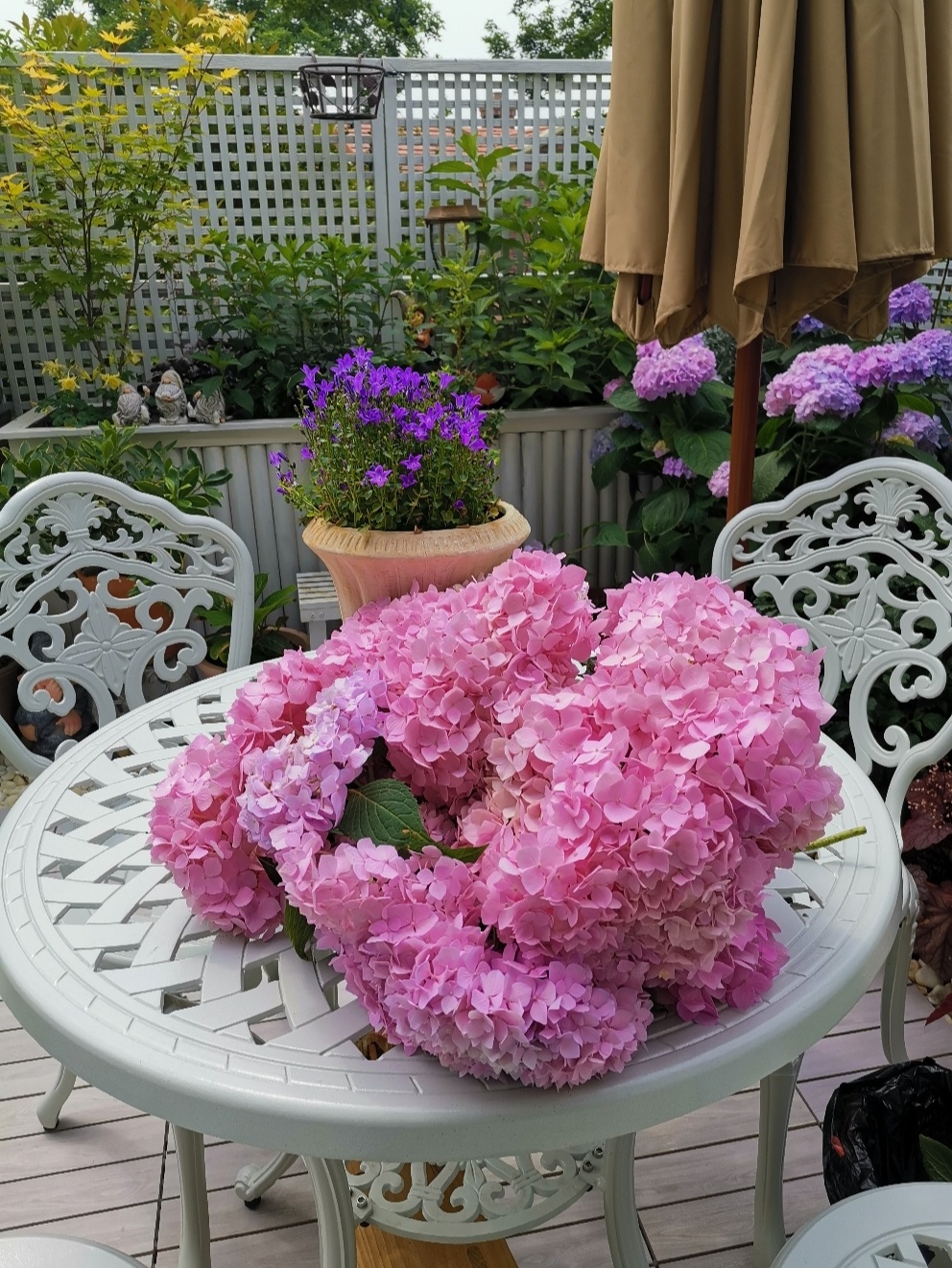 40㎡露台改造,DIY折腾成小花园,每一个角落,都美得一塌糊涂