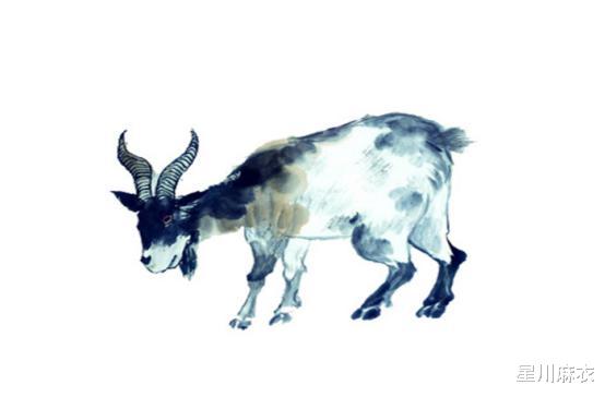 |2月25日开始吉星高照，家有哪些生肖财源广进，意想不到的惊喜