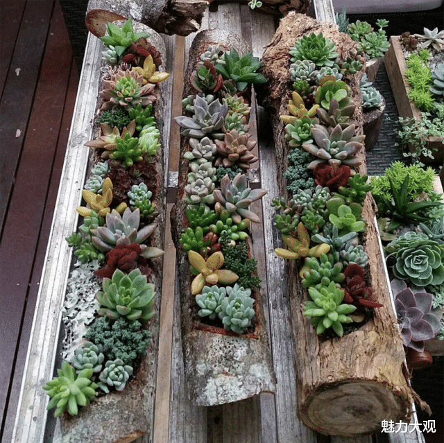 玩转庭院，低成本，高颜值，学会这几招你也可以