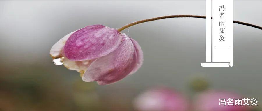 祛湿|比红豆薏米祛湿更强的穴位和豆子,你应该知道