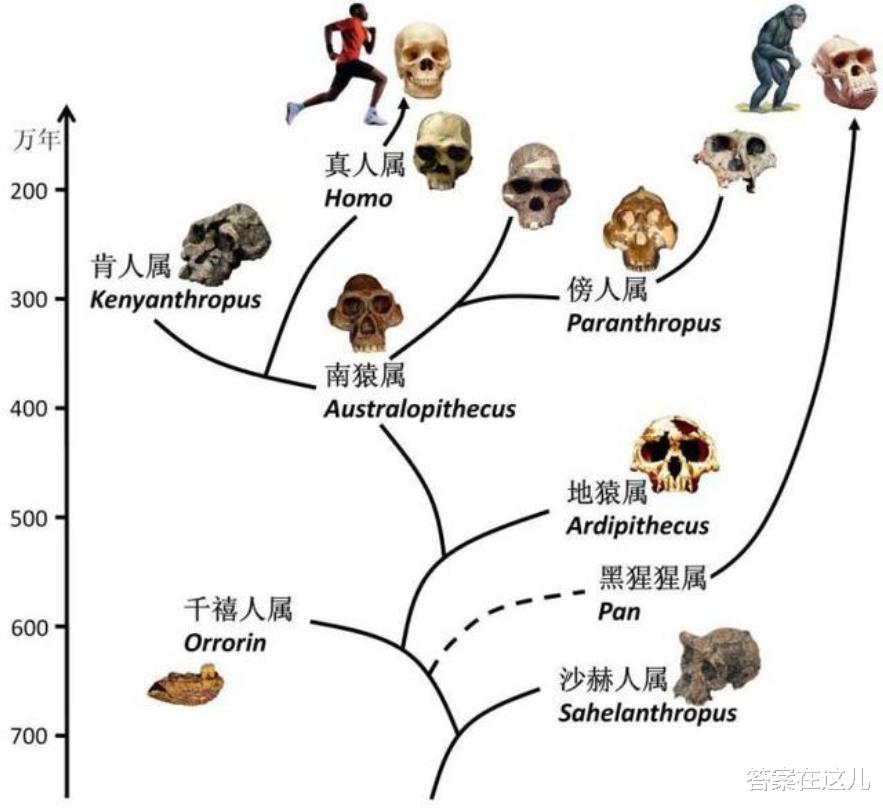 伊隆·马斯克|世界是虚拟的吗？马斯克：我们活在真实世界的概率不到十亿分之一