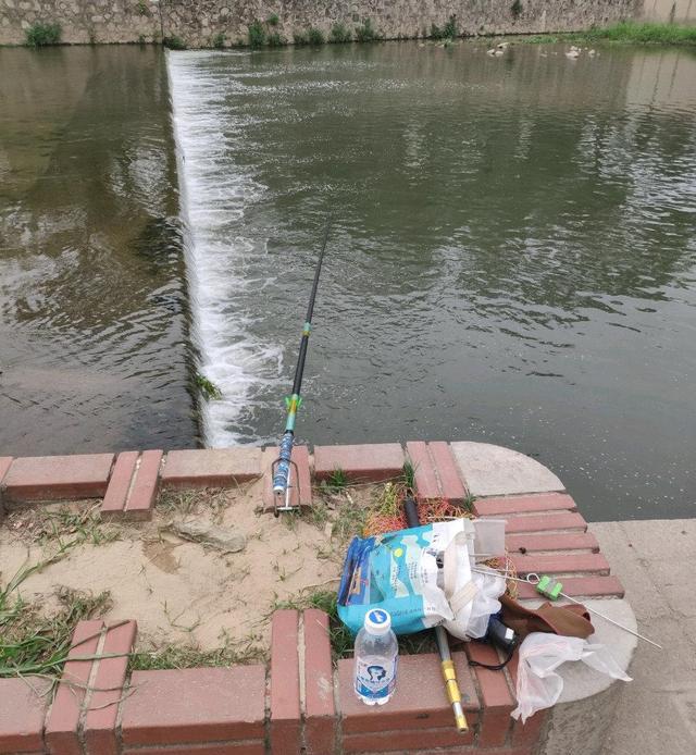 深圳市|一天钓几十斤鱼却从不吃一条？深圳钓鱼人：观澜河的鱼谁敢吃
