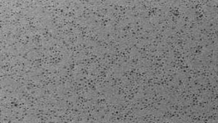 什么是二硫化钨量子点？