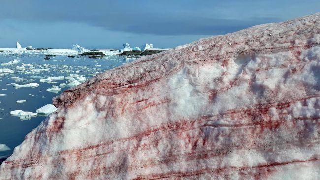 南极裂开大口子，1520亿吨淡水注入大海！危机还在后面？