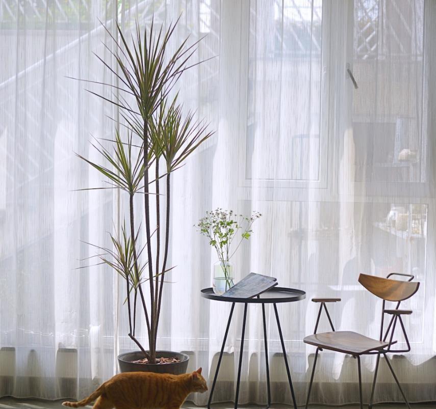 软装中7个花小钱出大效果的地方:轻松打造出高格调