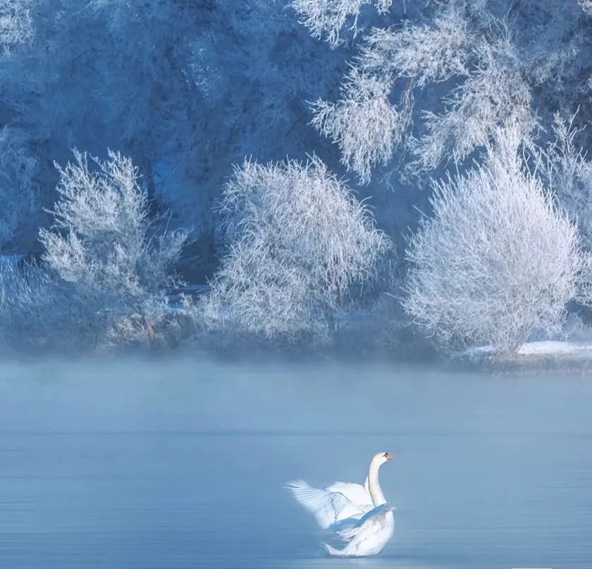 小红书|想和你再见一面,在新疆的冬天