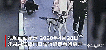 宠物狗被打残,法院判赔15000,狗主人上诉:还我狗的眼睛
