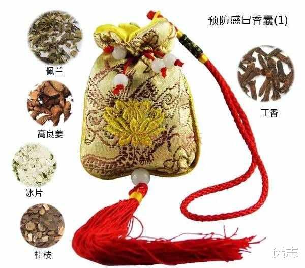 中药|中医教你在家防“疫病”