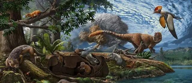 6670万年前的鸟类头骨,证明科学家对现代鸟类起源的理解是错误的
